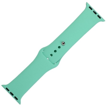 WATCHBAND APPLE SERIES 1/2/3/4/5 TURQUOISE
