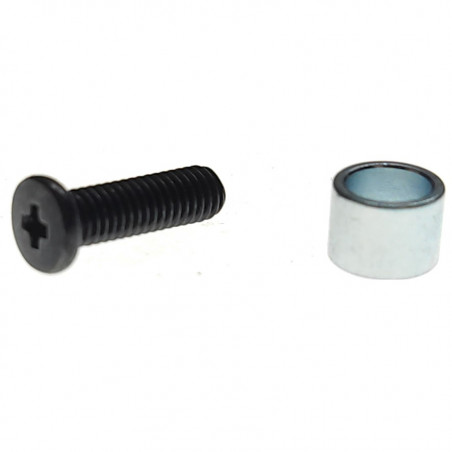 SCREW FOR PS5 SSD  WITH WASHER 