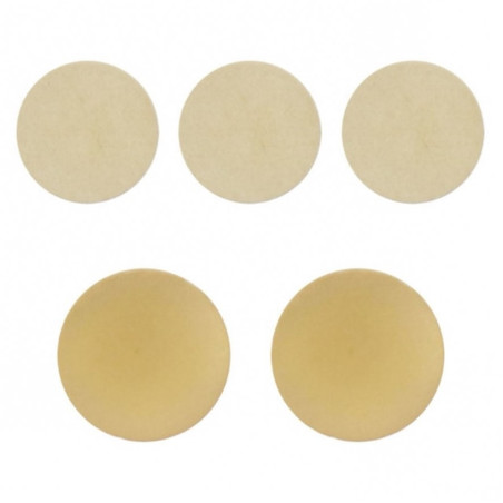 SCREWS BEZZEL GAME BOY ADVANCE SP GOLD